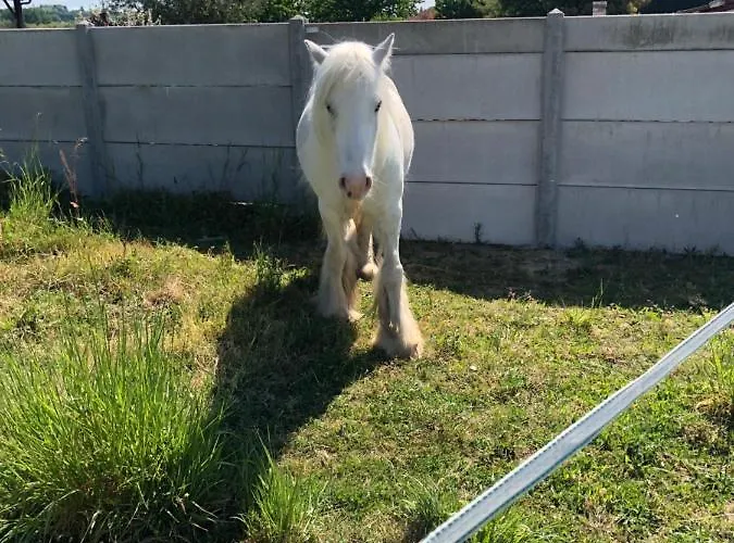 Le De Romas * Villeneuve-sur-Lot